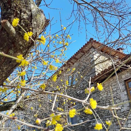 Bujtina Tusha Hotel Priska e Madhe Luaran gambar