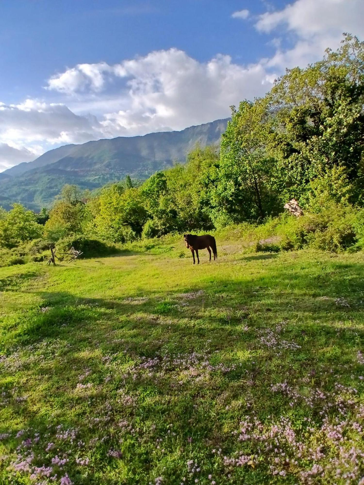 Bujtina Tusha Hotel Priska e Madhe Luaran gambar