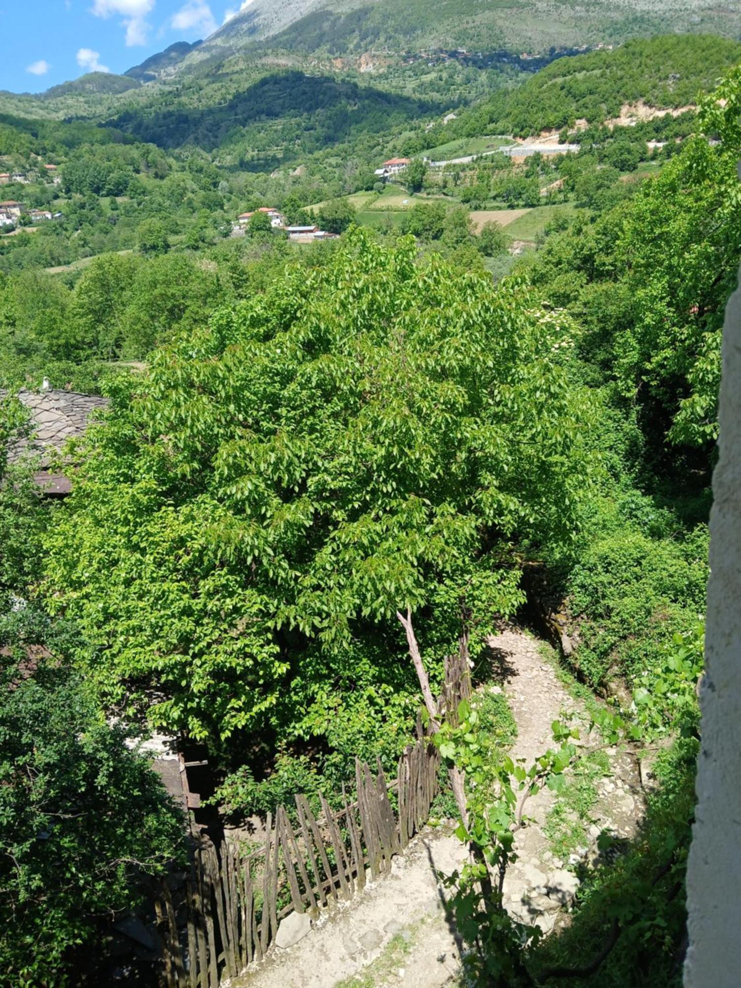 Bujtina Tusha Hotel Priska e Madhe Luaran gambar