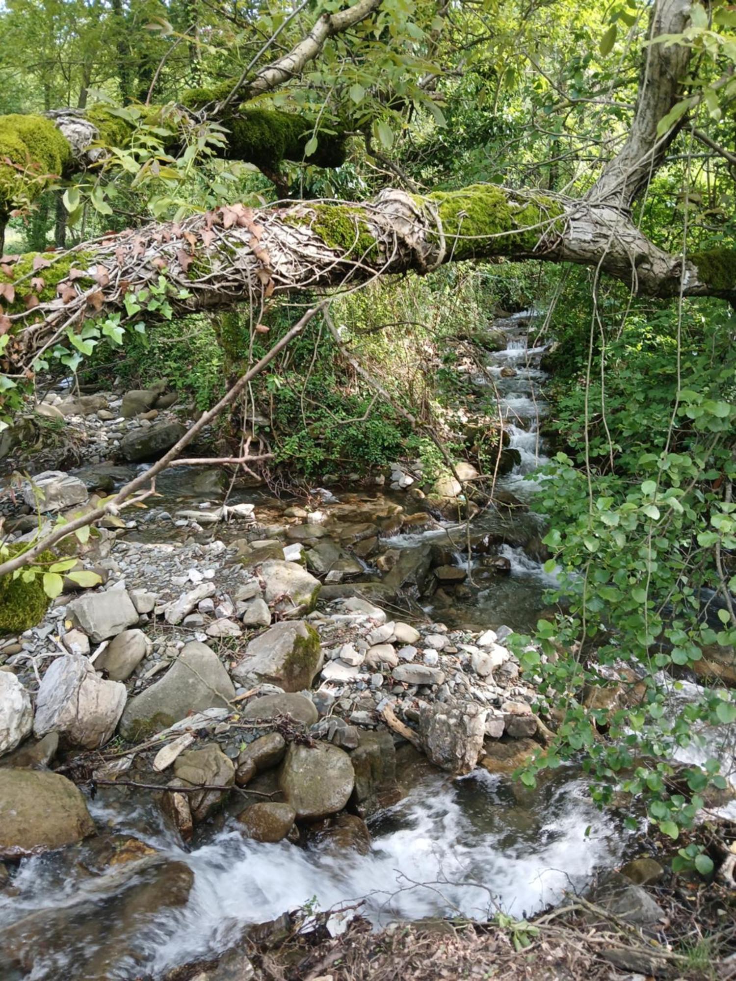 Bujtina Tusha Hotel Priska e Madhe Luaran gambar